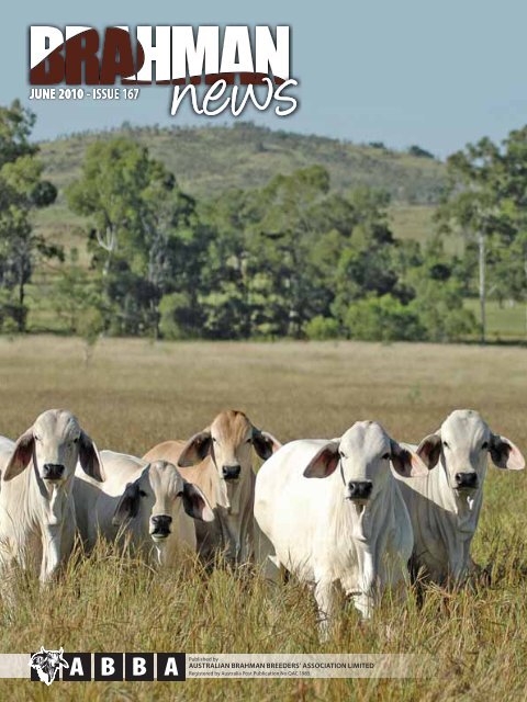 Download Pdf 5 2mb Australian Brahman Breeders Association