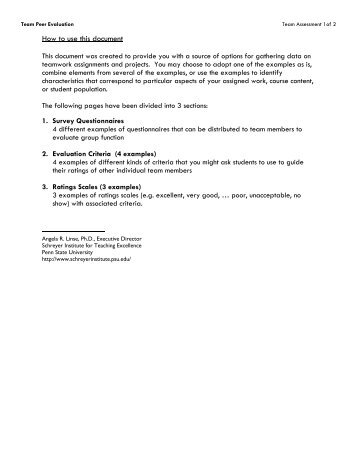 Team Peer Evaluation Examples - Schreyer Institute for Teaching ...