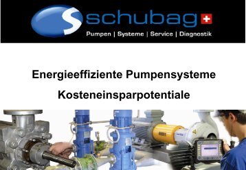 Energieeffiziente Pumpensysteme - schubag AG