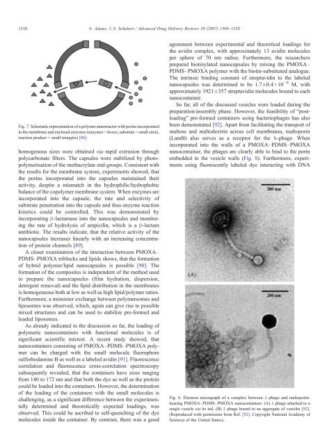 Poly(2-oxazolines) in biological and biomedical application contexts