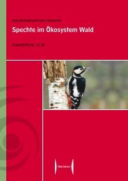 Spechte im ÃƒÂ–kosystem Wald (Pdf) - Naturpark Bayerischer Wald