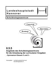 0.5.5. Curriculare Vorgaben Gymnasium Klassen 5 und 6