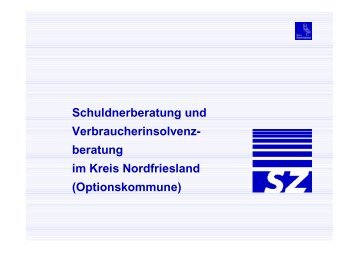 Der Kreis Nordfriesland als Optionskommune