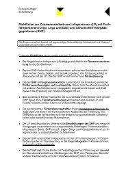 Richtlinien zur Zusammenarbeit von Lehrpersonen (LP) mit Fach ...