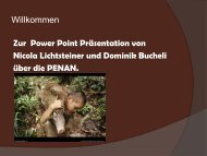 Penan - Schule Nottwil