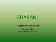 Guarani - Schule Nottwil