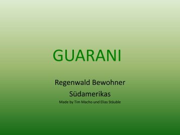 Guarani - Schule Nottwil