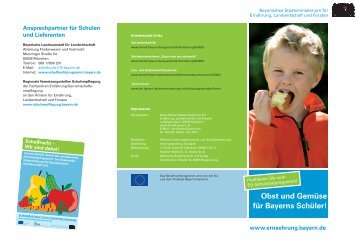 Flyer zum Schulfruchtprogramm - Schulverpflegung Bayern