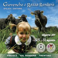 Giovenche Razza