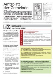 Amtsblatt 28 / 2013 - Schwanau