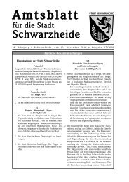 Amtsblatt fÃ¼r die Stadt Schwarzheide