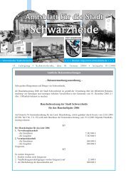 Amtsblatt fÃ¼r die Stadt Schwarzheide Amtsblatt fÃ¼r die Stadt ...