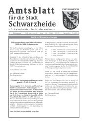 Amtsblatt - Schwarzheide