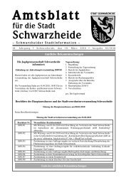 Amtsblatt fÃ¼r die Stadt Schwarzheide