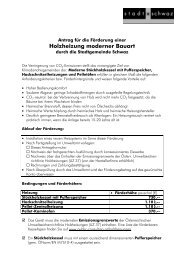 Formular Holzheizungs-FÃ¶rderung 0902 - Schwaz