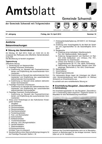 Ausgabe 16 vom 19.04.2013 - Schwendi