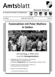 Ausgabe 8 vom 22.02.2013 - Schwendi