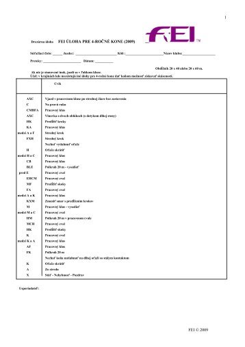 FEI ÚLOHA PRE 4-ROČNÉ KONE (2009)