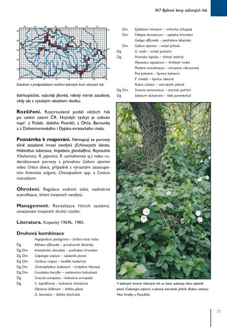 fulltext pdf file &#40;40 MB&#41;