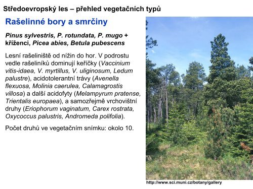 Středoevropský les – přehled vegetačních typů Potoční vrbiny ...