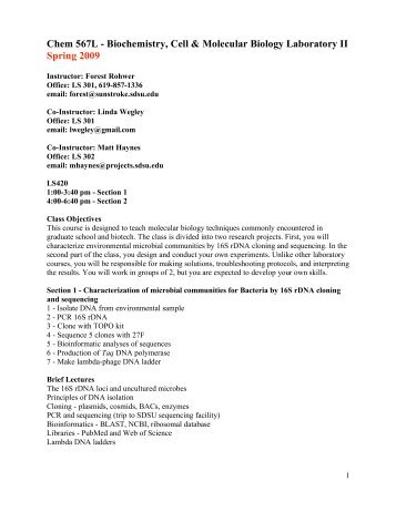 view Leveller Manifestoes of the Puritan Revolution
