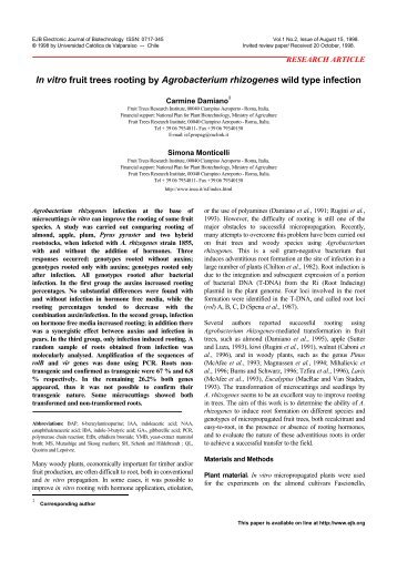 In vitro fruit trees rooting by Agrobacterium rhizogenes wild ... - SciELO