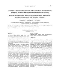 Diversidad y distribuciÃ³n de bacterias sulfato reductoras en ...