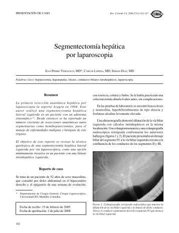 SegmentectomÃ­a hepÃ¡tica por laparoscopia - AsociaciÃ³n ...