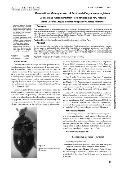 Dermestidae (Coleoptera) en el PerÃº: revisiÃ³n y nuevos ... - SciELO