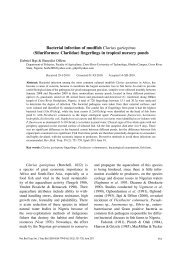 Bacterial infection of mudfish Clarias gariepinus (Siluriformes ...