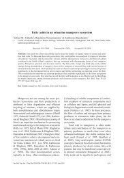 Fatty acids in an estuarine mangrove ecosystem - SciELO