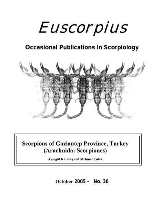 Scorpions of Gaziantep Province, Turkey - Marshall University
