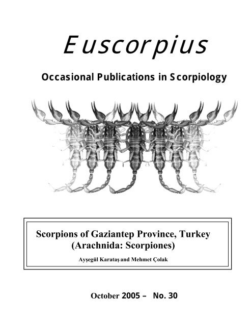 Scorpions of Gaziantep Province, Turkey - Marshall University