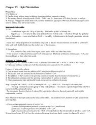 Chapter 19 Lipid Metabolism