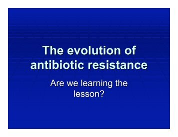 The evolution of antibiotic resistance