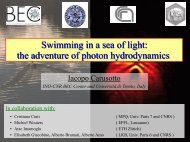 Swimming in a sea of light: the adventure of photon hydrodynamics