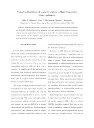 Undergraduate paper on numerical simulations of vortices.