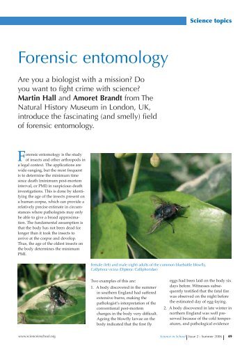 Forensic Entomology - Blowfly - Science in School