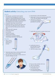 Student activity: Extracting your own DNA - Science in School