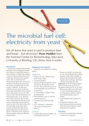 The microbial fuel cell: electricity from yeast - Science in School