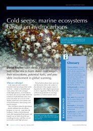 Cold seeps: marine ecosystems based on ... - Science in School