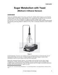 Sugar Metabolism With yeast-instructor Edition
