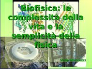 Biofisica: la complessitÃ  della vita e la semplicitÃ 