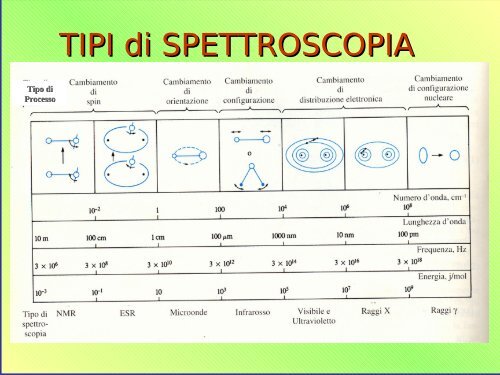 Biofisica: la complessitÃ  della vita e la semplicitÃ 