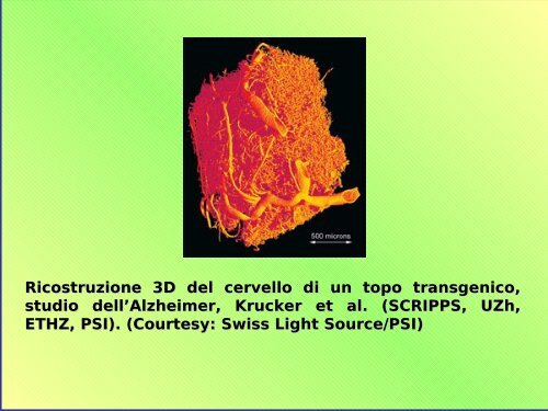 Biofisica: la complessitÃ  della vita e la semplicitÃ 