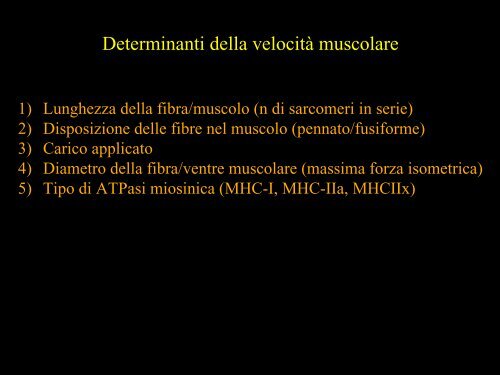 Meccanica della contrazione e plasticitÃ  del ... - Scienze motorie