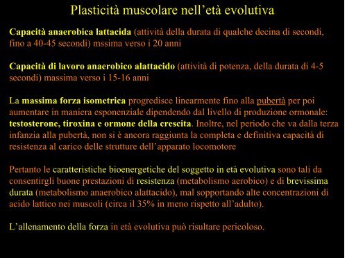 Meccanica della contrazione e plasticitÃ  del ... - Scienze motorie