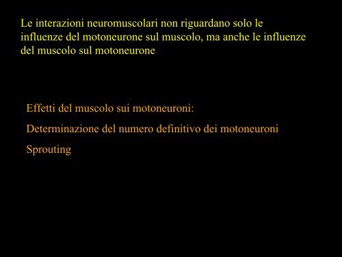 Meccanica della contrazione e plasticitÃ  del ... - Scienze motorie