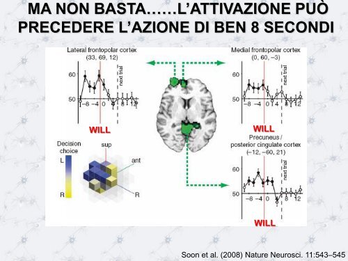 L'HOMUNCULUS MOTORIO - Scienze motorie