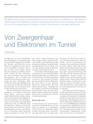 Von Zwergenhaar und Elektronen im Tunnel - Scitec-Media | Beat ...